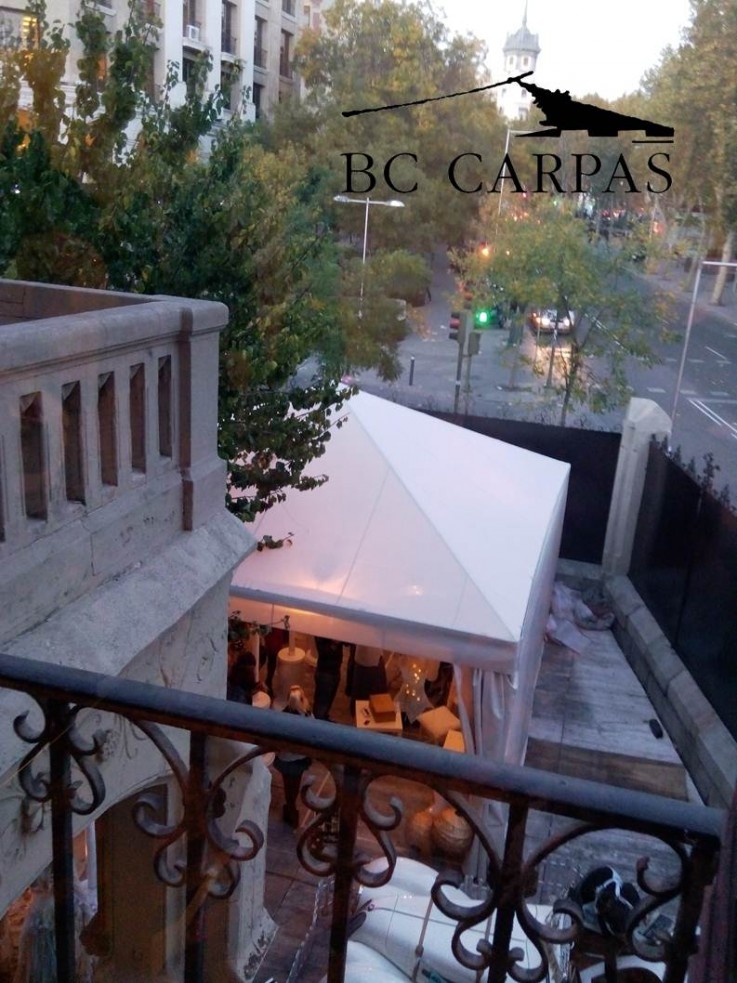 BC CARPAS - foto (3)