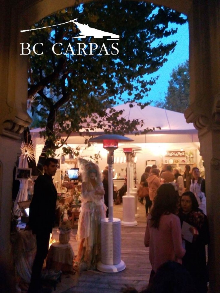 BC CARPAS - foto (4)
