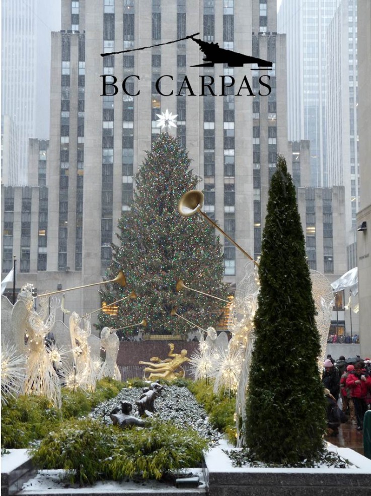 Carpa Navidad BC Carpas (23)
